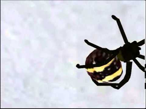 Virtual Spider Exposition (2004)